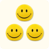 Verity Plush 3PCS