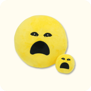 Crying Verity Plush