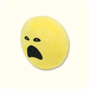 Crying Verity Plush